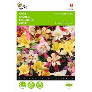 Buzzy® Aquilegia, Akelei Mrs. Scott Elliott - afbeelding 3