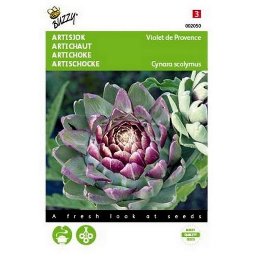 Buzzy® Artisjok Violet De Provence - afbeelding 1