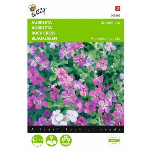 Buzzy® Aubrieta Grandiflora gemengd - afbeelding 1