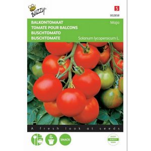 Buzzy® Balkontomaat Maja - afbeelding 1