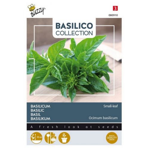 Buzzy® Basilicum a piccole Foglie - afbeelding 1