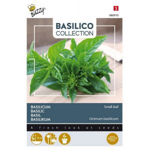 Buzzy® Basilicum a piccole Foglie - afbeelding 1