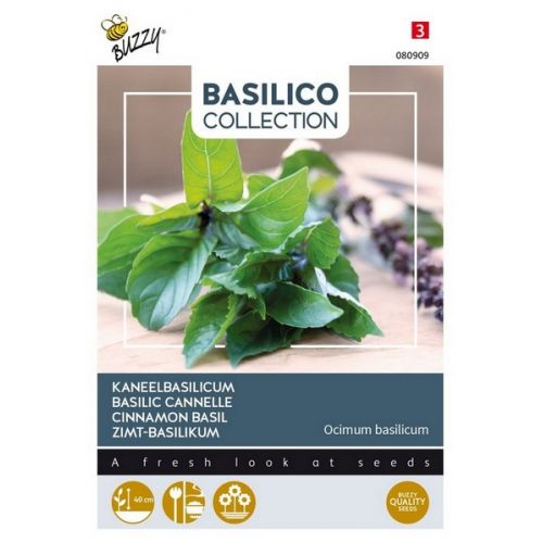 Buzzy® Basilicum Canella - afbeelding 1