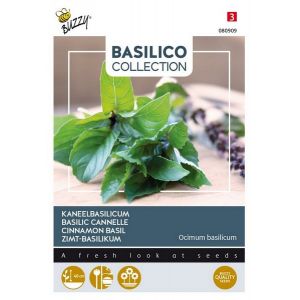 Buzzy® Basilicum Canella - afbeelding 2