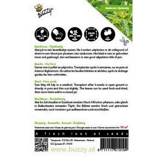 Buzzy® Basilicum Fijne - afbeelding 2