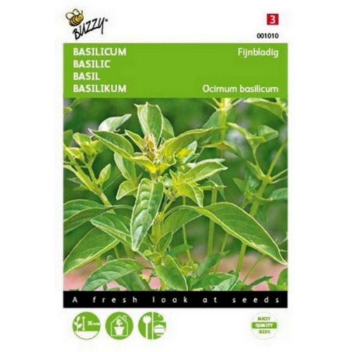 Buzzy® Basilicum Fijne - afbeelding 1