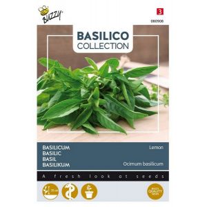 Buzzy® Basilicum Limone - afbeelding 2