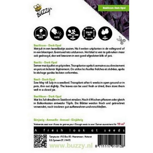 Buzzy® Basilicum Rode - Dark Opal - afbeelding 2