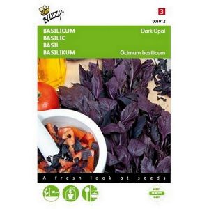 Buzzy® Basilicum Rode - Dark Opal - afbeelding 1