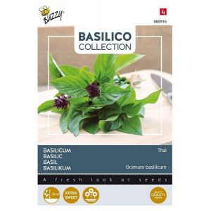 Buzzy® Basilicum Siam of Thai - afbeelding 1