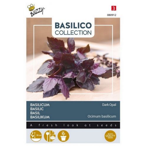 Buzzy® Basilicum Violetto Aromatico - afbeelding 1