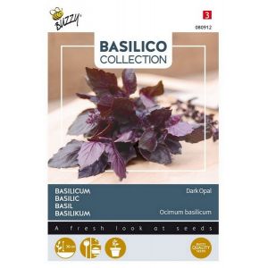 Buzzy® Basilicum Violetto Aromatico - afbeelding 1