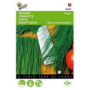 Buzzy® Bieslook Fijne - afbeelding 1