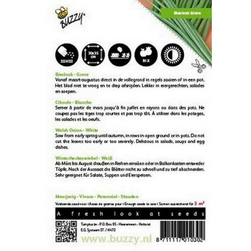 Buzzy® Bieslook Grove - afbeelding 2