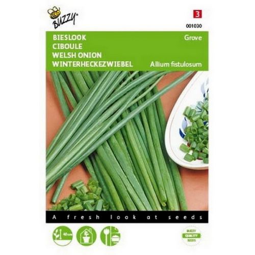 Buzzy® Bieslook Grove - afbeelding 1