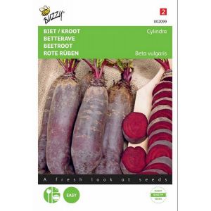 Buzzy® Biet / Kroot Cylindra - afbeelding 1
