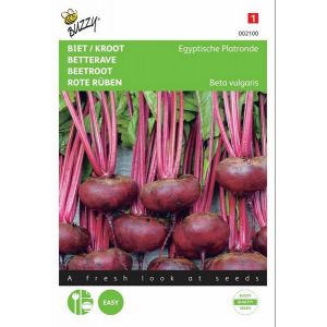 Buzzy® Biet / Kroot Egyptische Platronde - afbeelding 1
