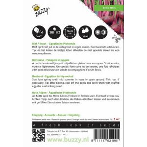 Buzzy® Biet / Kroot Egyptische Platronde - afbeelding 2