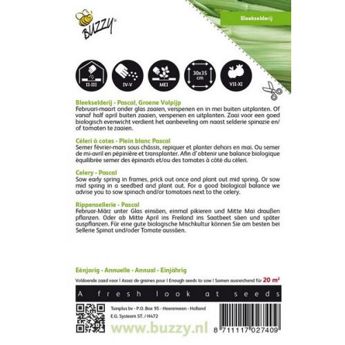 Buzzy® Bleekselderij Pascal, Groene Volpijp - afbeelding 2
