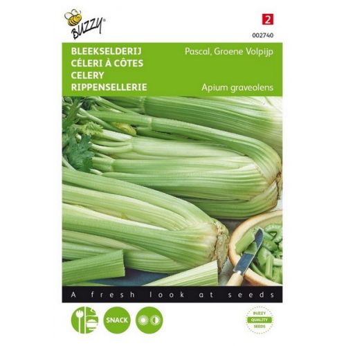 Buzzy® Bleekselderij Pascal, Groene Volpijp - afbeelding 1