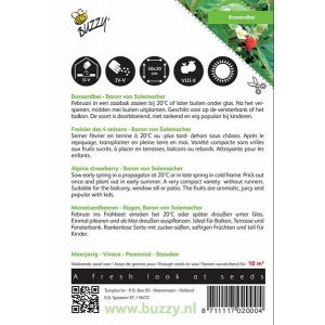 Buzzy® Bosaardbei Baron von Solemacher - afbeelding 2