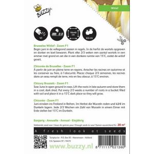 Buzzy® Brusselse Witlof Zoom F1 - afbeelding 2