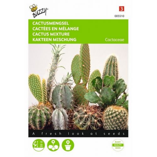 Buzzy® Cactusmengsel Vele soorten - afbeelding 1