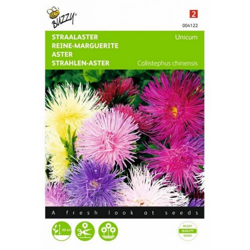 Buzzy® Callistephus, Straalaster Unicum, gemengd - afbeelding 1
