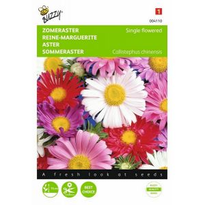 Buzzy® Callistephus, Zomeraster enkelbloemig gemengd - afbeelding 1