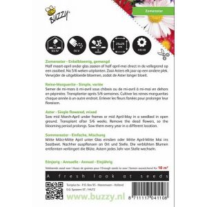 Buzzy® Callistephus, Zomeraster enkelbloemig gemengd - afbeelding 3