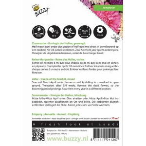 Buzzy® Callistephus, Zomeraster Koningin der Hallen gemengd - afbeelding 2