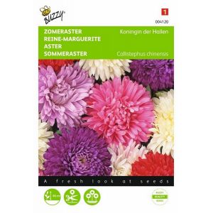 Buzzy® Callistephus, Zomeraster Koningin der Hallen gemengd - afbeelding 1