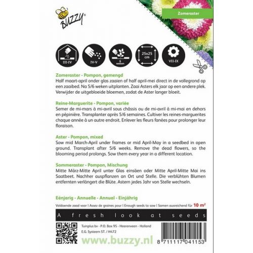 Buzzy® Callistephus, Zomeraster Pompon gemengd - afbeelding 2