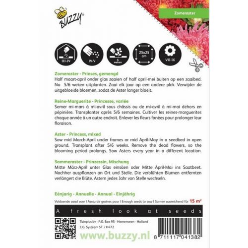 Buzzy® Callistephus, Zomeraster Prinses gemengd - afbeelding 2