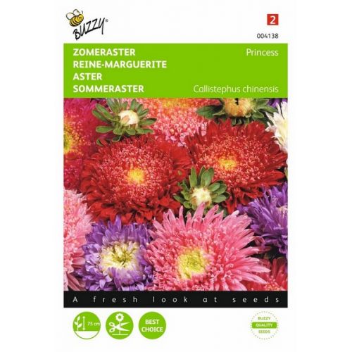 Buzzy® Callistephus, Zomeraster Prinses gemengd - afbeelding 1