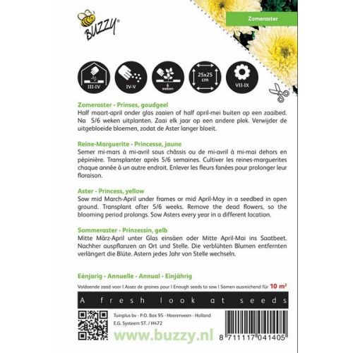 Buzzy® Callistephus, Zomeraster Prinses goudgeel - afbeelding 2