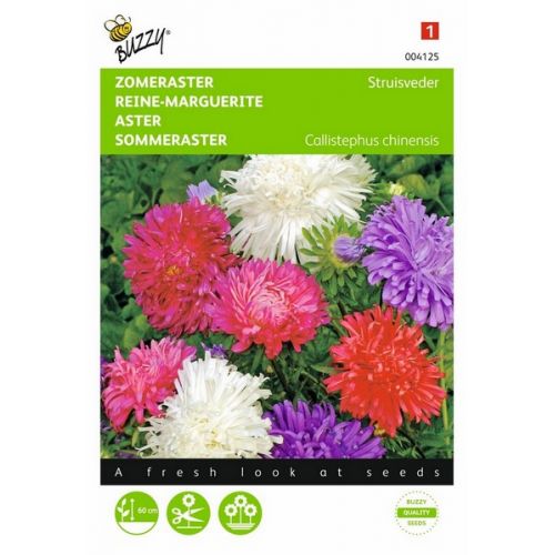 Buzzy® Callistephus, Zomeraster Struisveder gemengd - afbeelding 1