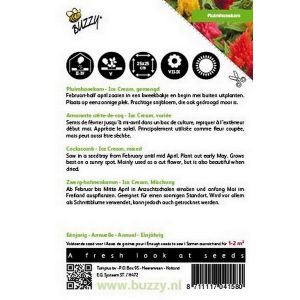 Buzzy® Celosia, Pluimhanekam Ice Cream gemengd - afbeelding 2
