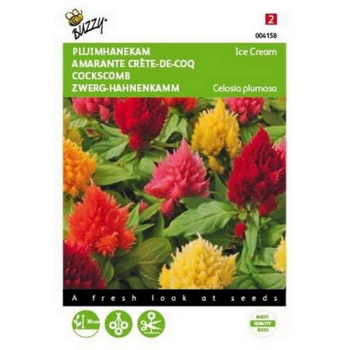 Buzzy® Celosia, Pluimhanekam Ice Cream gemengd - afbeelding 1