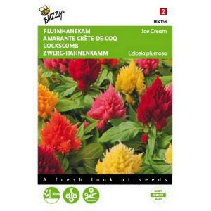 Buzzy® Celosia, Pluimhanekam Ice Cream gemengd - afbeelding 1