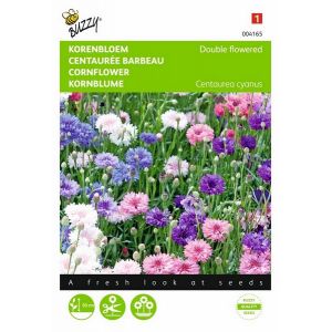 Buzzy® Centaurea, Korenbloem dubbelbloemig gemengd - afbeelding 1