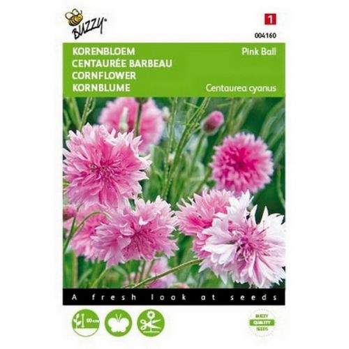 Buzzy® Centaurea, Korenbloem Pink Ball - afbeelding 1