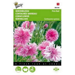 Buzzy® Centaurea, Korenbloem Pink Ball - afbeelding 1