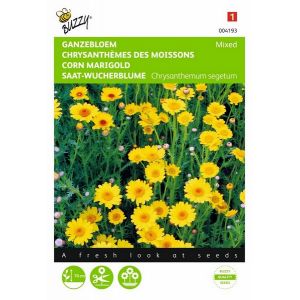 Buzzy® Chrysanthemum, Ganzebloem gele tinten gemengd - afbeelding 1