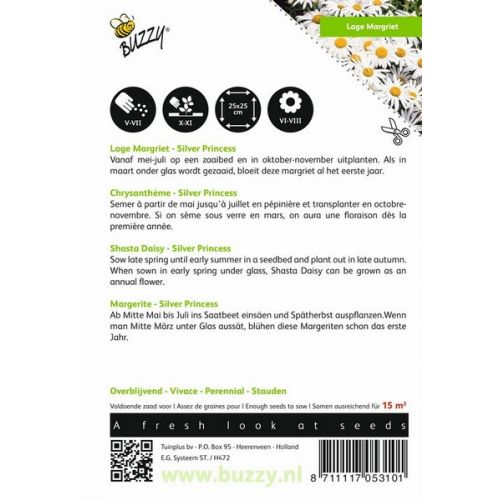Buzzy® Chrysanthemum, Lage Margriet Silver Princess - afbeelding 2