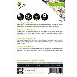 Buzzy® Chrysanthemum, Lage Margriet Silver Princess - afbeelding 2