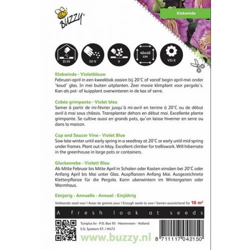 Buzzy® Cobaea, Klokwinde Violetblauw - afbeelding 2