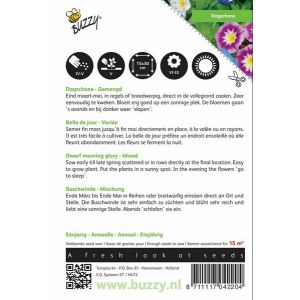 Buzzy® Convolvulus, Dagschone gemengd - afbeelding 2