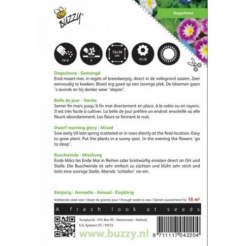 Buzzy® Convolvulus, Dagschone gemengd - afbeelding 3