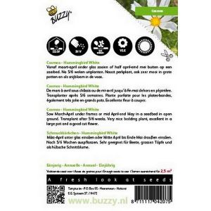 Buzzy® Cosmos, Cosmea Hummingbird White - afbeelding 2
